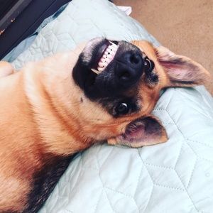 Meet your Posher, Bryan